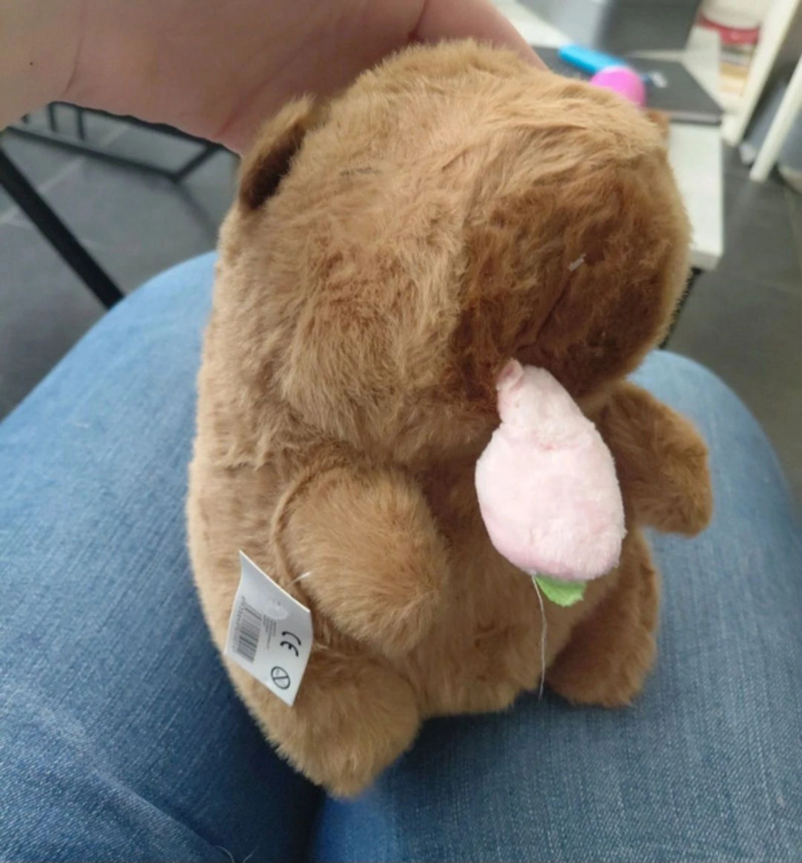 Peluche capivara – photo 2
